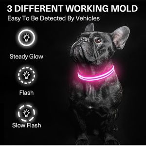 Dog collar with LED light, rechargeable LED dog collar for walking at night
